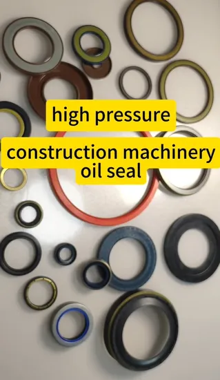 Factory Supply Construction Machinery High Pressure Oil Seal 95*145*13 Auto Spare Parts